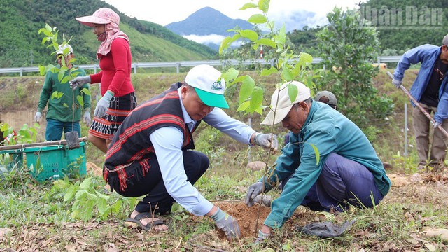 Viet Nam plants over 1.4 billion trees, surpassing preset goal - Ảnh 1.