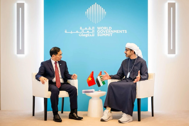 DPM meets with UAE’s counterpart in Dubai- Ảnh 1.