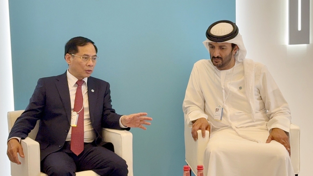 VN, UAE urged to early ratify CEPA in Q1, 2025- Ảnh 1.