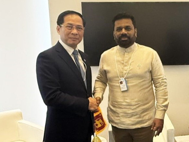 Deputy PM meets Arab League Secretary-General, Sri Lankan President in Dubai - Ảnh 2.