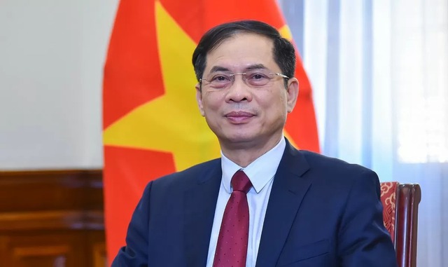 DPM Bui Thanh Son leads National Steering Committee for ODA, preferential loans- Ảnh 1.