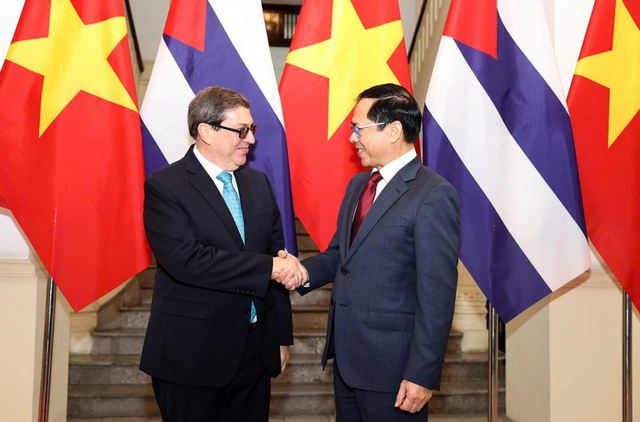 Deputy PM, Foreign Minister Bui Thanh Son holds talks with Cuban Foreign Minister - Ảnh 1.