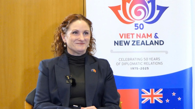 New Zealand Prime Minister’s Viet Nam visit to open up new business opportunities- Ảnh 1.