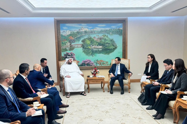 Deputy Prime Minister hosts UAE Minister of Investment- Ảnh 1.