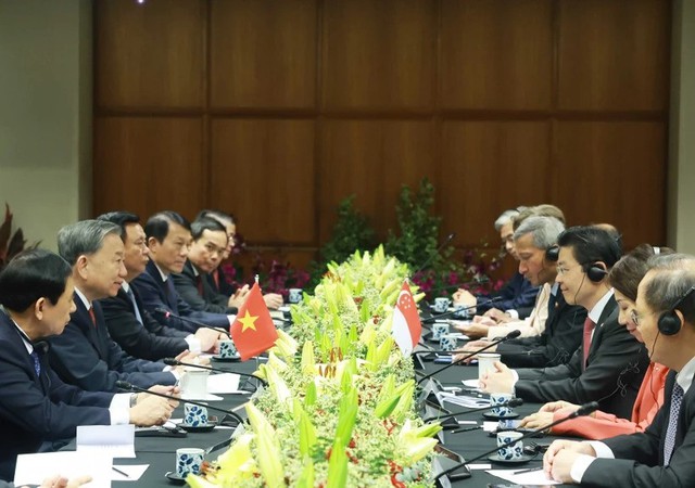 Viet Nam, Singapore elevate bilateral ties to Comprehensive Strategic Partnership- Ảnh 1.