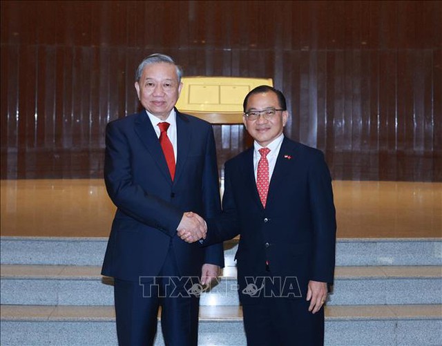 Party chief meets Singaporean President, top legislator - Ảnh 2.