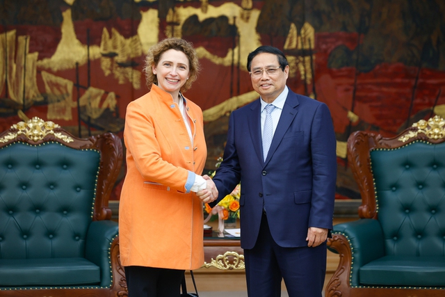 Prime Minister suggests France join nuclear power projects in Viet Nam - Ảnh 2.