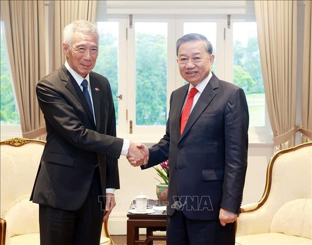 Party chief meets Singaporean President, top legislator - Ảnh 3.