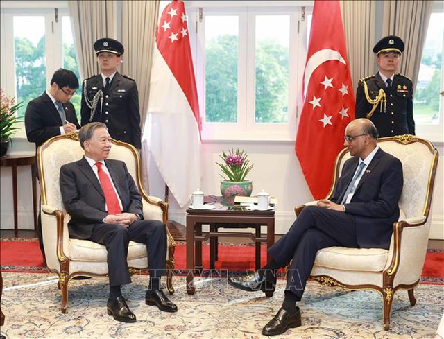 Party chief meets Singaporean President, top legislator - Ảnh 1.