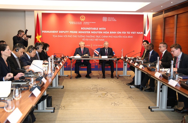 Standing Deputy PM, former British PM co-chair seminar on attracting FDI in Viet Nam - Ảnh 1.