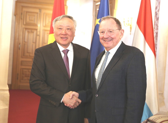 Viet Nam, Luxembourg to sign MoU on cooperation in establishing international financial centers- Ảnh 2.