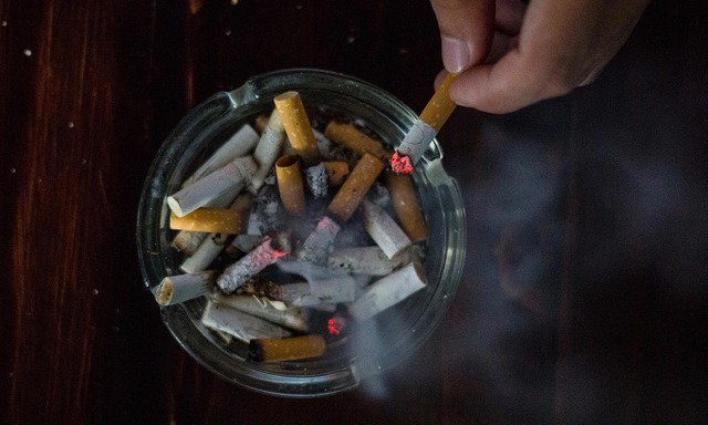 Viet Nam should seize historic opportunity to curb tobacco harm and to support economic growth, says WHO- Ảnh 1. Viet Nam should seize historic opportunity to curb tobacco harm and to support economic growth, says WHO- Ảnh 1.