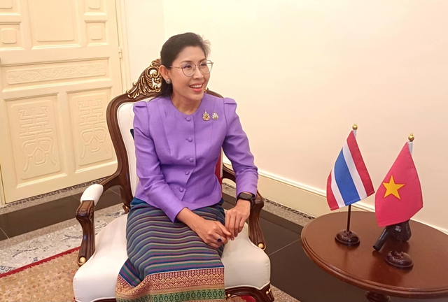 Viet Nam, Thailand work towards Comprehensive Strategic Partnership- Ảnh 1. Viet Nam, Thailand work towards Comprehensive Strategic Partnership- Ảnh 1.