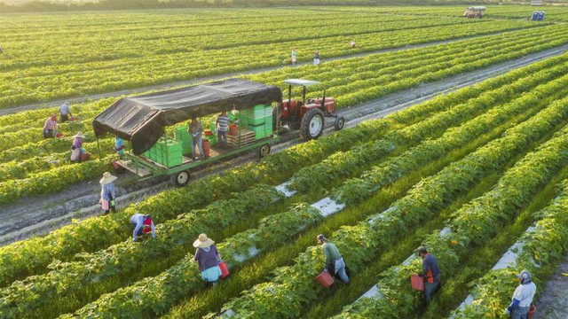 Australia to provide AUD 2 million to help Viet Nam respond to climate change- Ảnh 1. Australia to provide AUD 2 million to help Viet Nam respond to climate change- Ảnh 1.