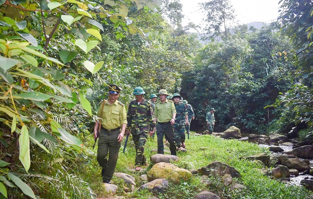 Viet Nam classified as a “low-risk” country under EU deforestation law- Ảnh 1. Viet Nam classified as a “low-risk” country under EU deforestation law- Ảnh 1.