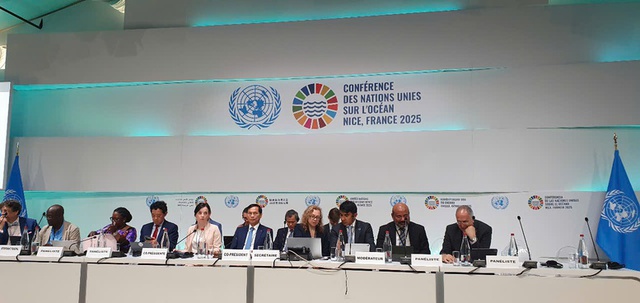 Sustainable fisheries development - critical to fighting poverty: Deputy PM- Ảnh 1. Sustainable fisheries development - critical to fighting poverty: Deputy PM- Ảnh 1.