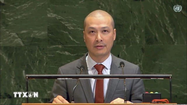 Viet Nam calls for urgent global action to resolve Gaza crisis- Ảnh 1. Viet Nam calls for urgent global action to resolve Gaza crisis- Ảnh 1.