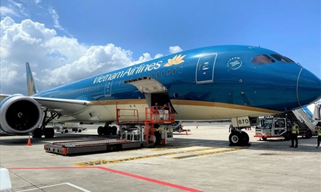 Viet Nam witnesses robust growth in air transport in first half - Ảnh 1.