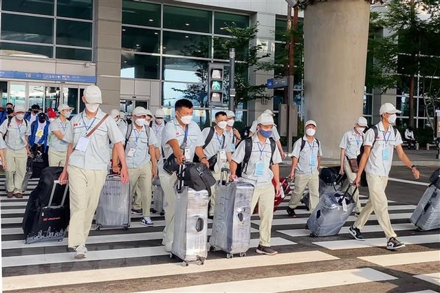 Over 61,600 workers find overseas employment in five months- Ảnh 1. Over 61,600 workers find overseas employment in five months- Ảnh 1.