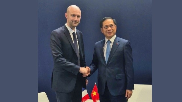Viet Nam supports France's initiatives to tackle non-traditional security challenges- Ảnh 1. Viet Nam supports France's initiatives to tackle non-traditional security challenges- Ảnh 1.