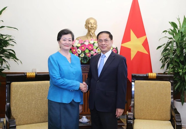 Cambodia and Thailand are close friends of Viet Nam: Deputy PM, FM Bui Thanh Son- Ảnh 1. Cambodia and Thailand are close friends of Viet Nam: Deputy PM, FM Bui Thanh Son- Ảnh 1.