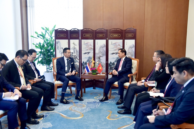 Deputy PM meets top Cambodian, Thai diplomats on sidelines of Mekong–Lancang Foreign Ministers' Meeting- Ảnh 2.