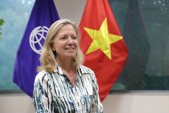 Viet Nam’s 80-year progress paves way for 2045 development goals: WB official- Ảnh 1. Viet Nam’s 80-year progress paves way for 2045 development goals: WB official- Ảnh 1.