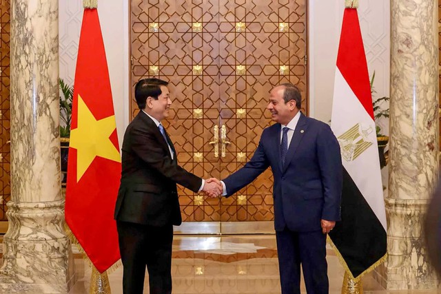 Viet Nam, Egypt upgrade ties to Comprehensive Partnership- Ảnh 1.