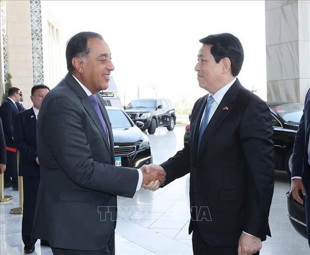 Egyptian Prime Minister suggests establishment of Viet Nam-Arab Business Council- Ảnh 1.