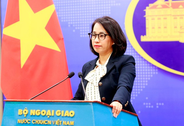 Viet Nam ready to take citizen protection measures in Nepal, Qatar: Spokeswoman- Ảnh 1.