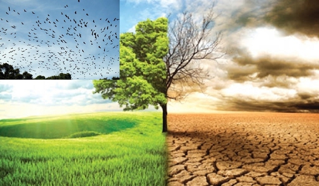 Viet Nam seeks up to US$92 billion for climate adaptation by 2030- Ảnh 1.