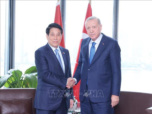 Luong Cuong meets President of 80th UNGA, foreign leaders in New York - Ảnh 2.