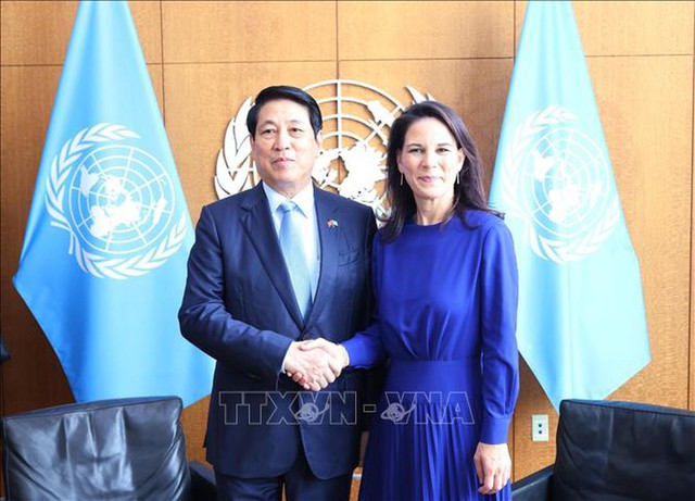 Luong Cuong meets President of 80th UNGA, foreign leaders in New York - Ảnh 1.