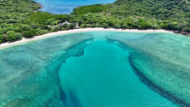 Con Dao National Park enters IUCN Green List- Ảnh 2.