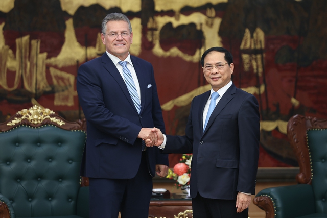 EU remains one of Viet Nam's key partners, Deputy PM reassures- Ảnh 1.