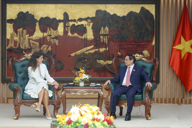 Prime Minister suggests GE Vernova expand investment in power generation in Viet Nam - Ảnh 1.