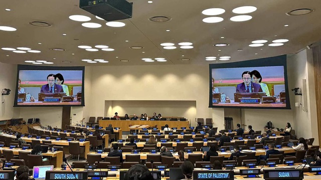 UN hails Viet Nam’s achievements, contributions to pandemic prevention - Ảnh 1.