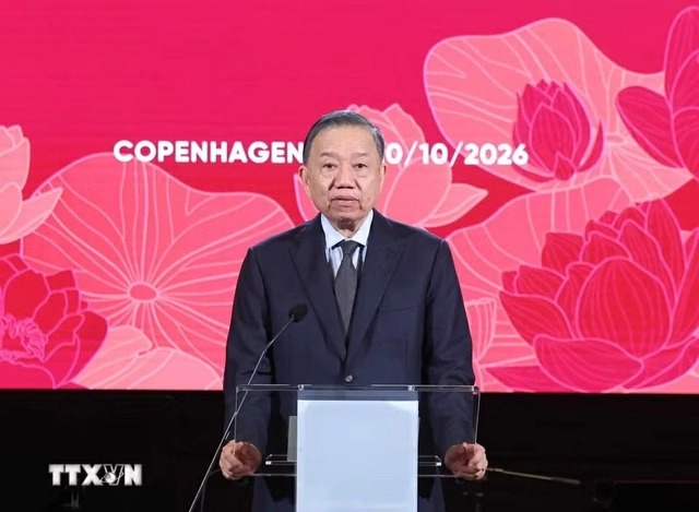 Concert celebrates 55 years of Viet Nam-Denmark diplomatic ties- Ảnh 1.