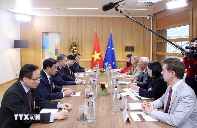 To Lam holds talks with European Council President António Costa- Ảnh 1.