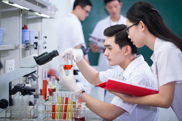 Gov’t rolls out action plan to attract and develop talent in key sectors - Ảnh 1.