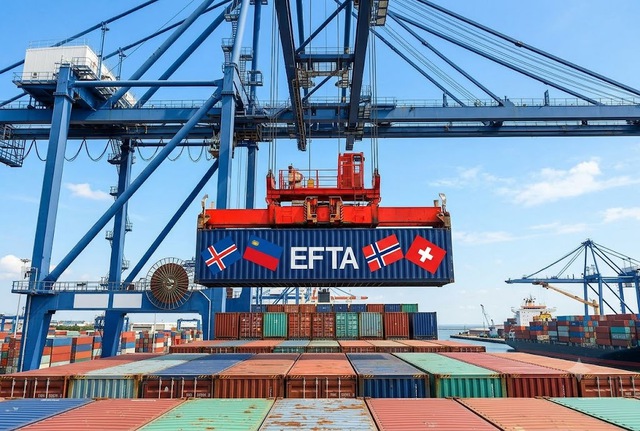 Viet Nam prepares for signing trade deal with European Free Trade Area- Ảnh 1.