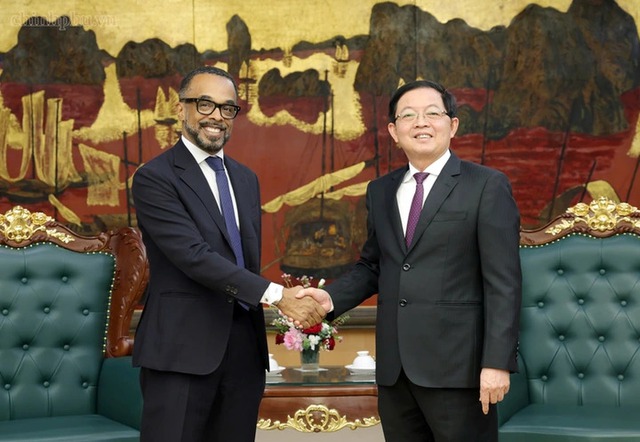 Deputy PM Ho Quoc Dung hosts Google's Vice President- Ảnh 1.