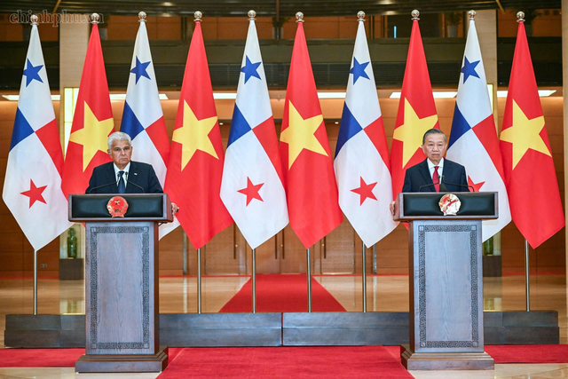 Viet Nam, Panama vow to continue coordination and mutual support at multilateral forums- Ảnh 1.