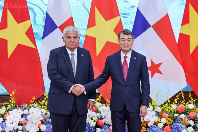 Panama regards Viet Nam as partner of top importance in Southeast Asia- Ảnh 1.
