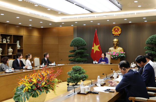 Austria's int’l healthcare company plans to invest €1.2 billion in Viet Nam- Ảnh 1.
