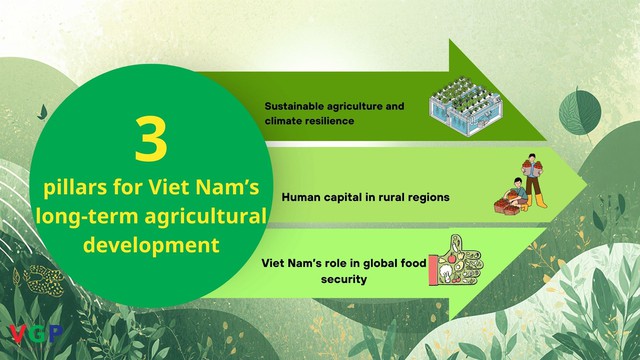 FAO: Viet Nam moves towards a more modern, sustainable and high-value agricultural sector- Ảnh 2.