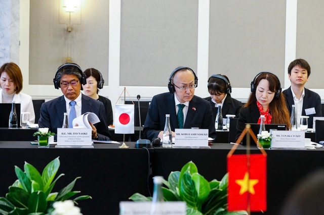 Japan pledges ¥50 billion ODA loan to support Viet Nam’s green growth- Ảnh 2.