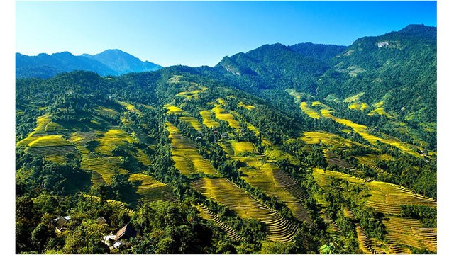 Viet Nam home to 36 national parks- Ảnh 1.
