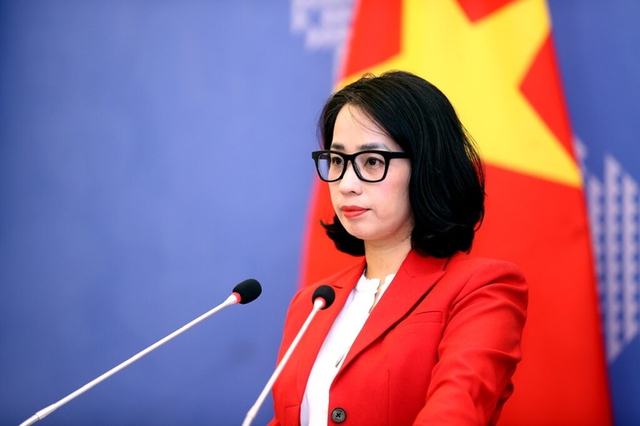 Viet Nam opposes use of force against sovereign nations- Ảnh 1.