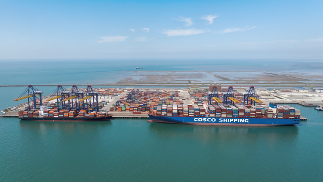 Hateco terminal welcomes mega-vessel cosco shipping aquarius - historic milestone for Hai Phong Port- Ảnh 1.
